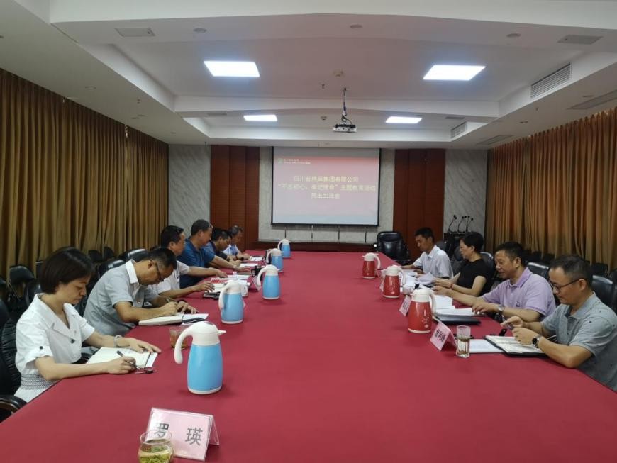 集團(tuán)公司召開(kāi)“不忘初心、牢記使命”主題教育活動(dòng)民主生活會(huì)