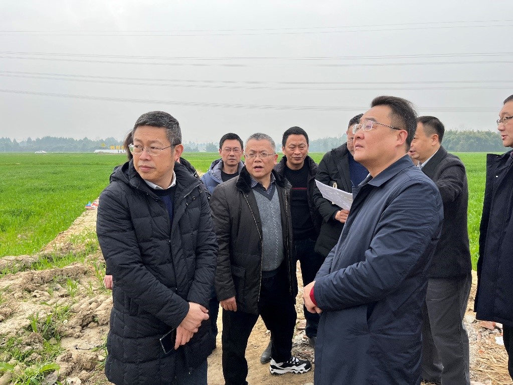 省社、省供投集團領導調研青白江區(qū)四川現(xiàn)代供銷種業(yè)園區(qū)