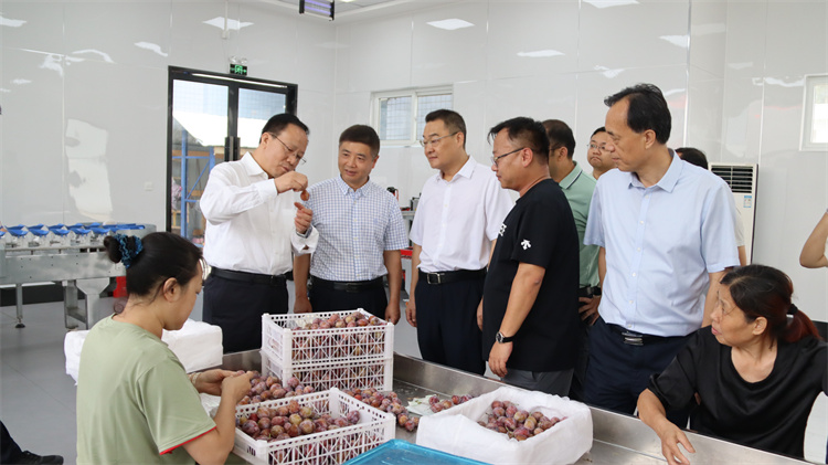 新疆維吾爾自治區(qū)供銷社到集團公司龍泉農(nóng)產(chǎn)品集采集配中心調研