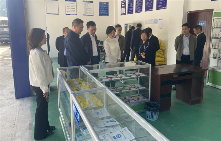四川省供銷社黨組成員、理事會副主任、一級巡視員楊武秀帶隊到萬源調(diào)研集團舊院黑雞產(chǎn)業(yè)發(fā)展工作