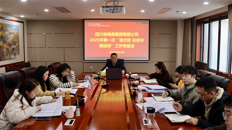 集團(tuán)公司召開2025年第一次“清欠款、去庫存、調(diào)結(jié)構(gòu)”工作專題會